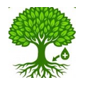 Tree health care icon