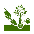 Tree planting icon
